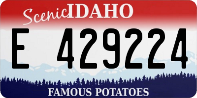 ID license plate E429224