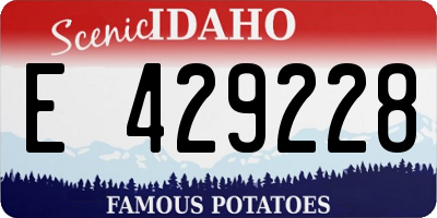 ID license plate E429228