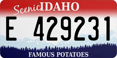 ID license plate E429231