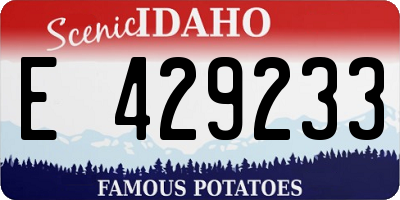 ID license plate E429233