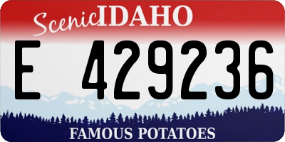 ID license plate E429236
