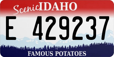 ID license plate E429237