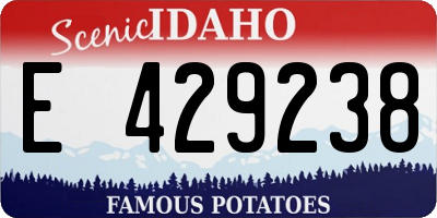 ID license plate E429238