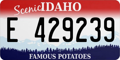 ID license plate E429239