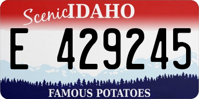 ID license plate E429245