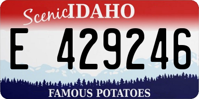 ID license plate E429246