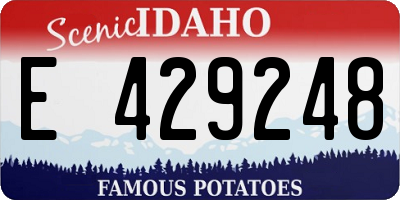 ID license plate E429248