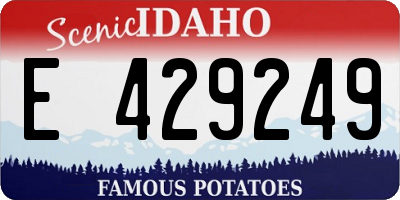 ID license plate E429249