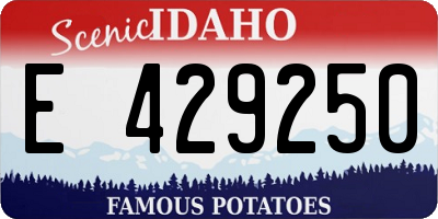ID license plate E429250