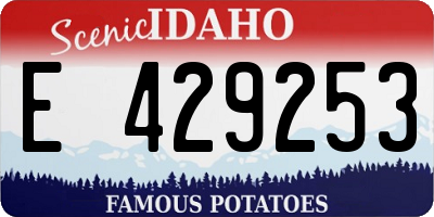 ID license plate E429253