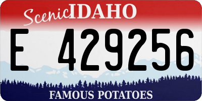 ID license plate E429256