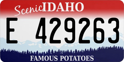 ID license plate E429263