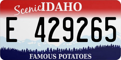 ID license plate E429265
