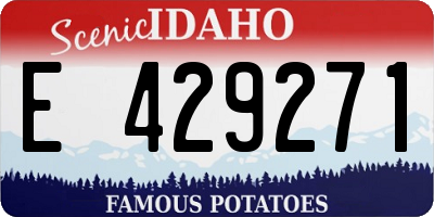 ID license plate E429271