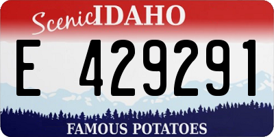 ID license plate E429291