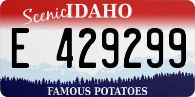 ID license plate E429299