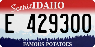 ID license plate E429300