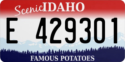 ID license plate E429301
