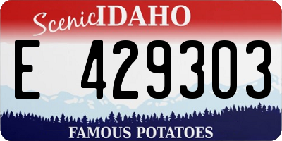ID license plate E429303