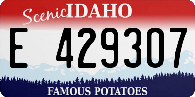 ID license plate E429307