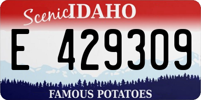 ID license plate E429309