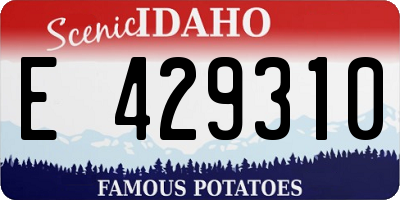 ID license plate E429310