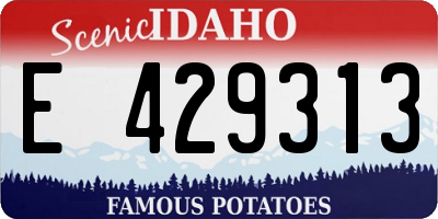 ID license plate E429313