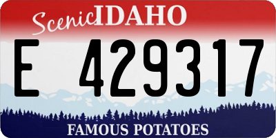 ID license plate E429317