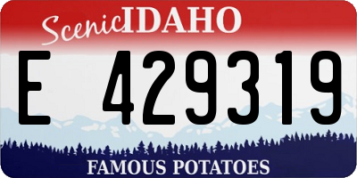 ID license plate E429319