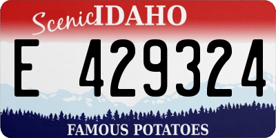 ID license plate E429324