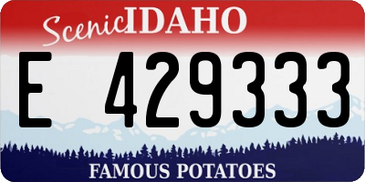 ID license plate E429333