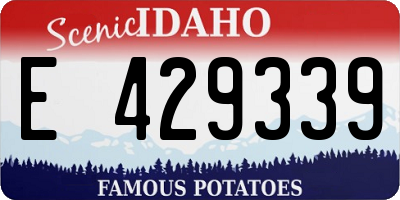ID license plate E429339