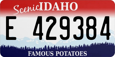 ID license plate E429384