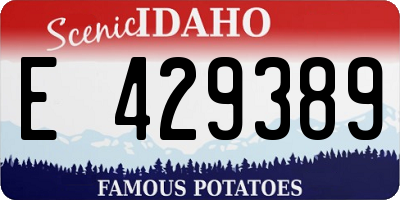 ID license plate E429389