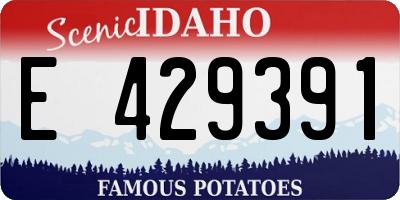 ID license plate E429391