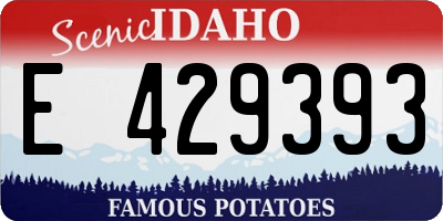 ID license plate E429393