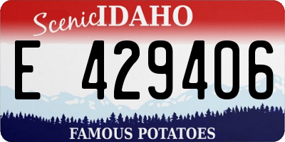 ID license plate E429406