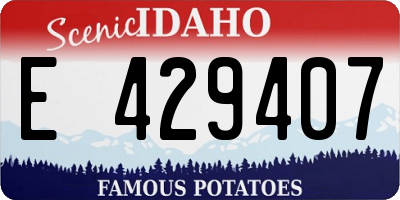 ID license plate E429407