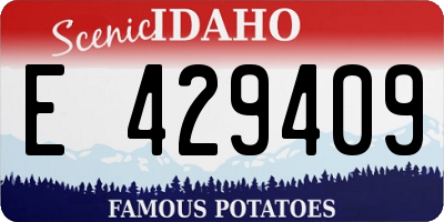 ID license plate E429409