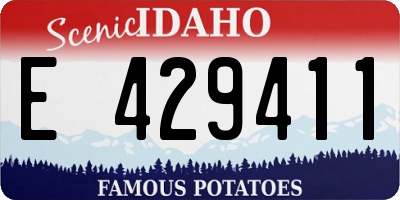 ID license plate E429411
