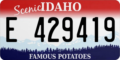ID license plate E429419