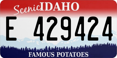 ID license plate E429424