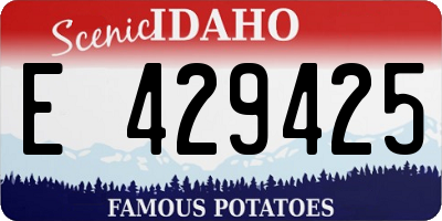ID license plate E429425