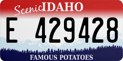 ID license plate E429428