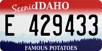 ID license plate E429433