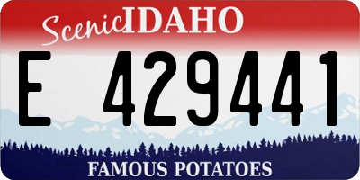 ID license plate E429441