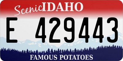 ID license plate E429443