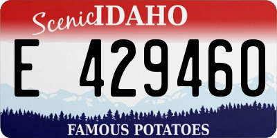 ID license plate E429460