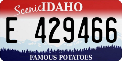 ID license plate E429466