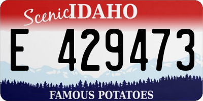 ID license plate E429473
